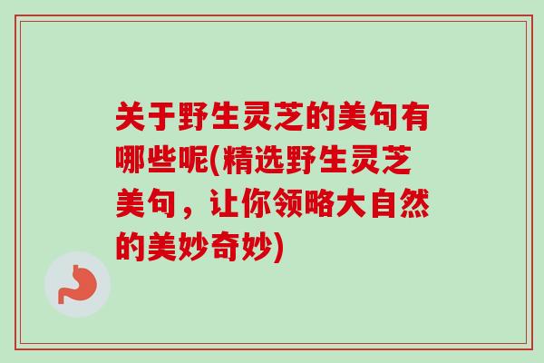 关于野生灵芝的美句有哪些呢(精选野生灵芝美句，让你领略大自然的美妙奇妙)