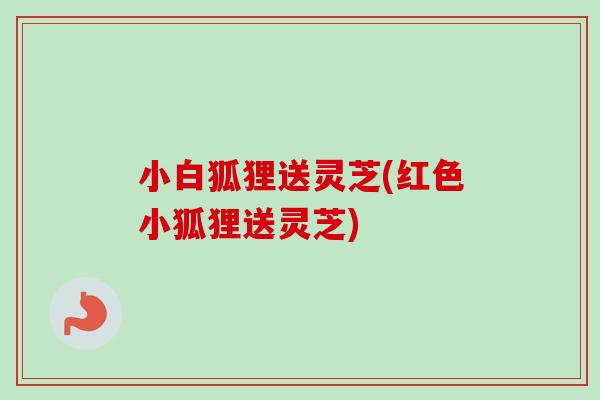 小白狐狸送灵芝(红色小狐狸送灵芝)