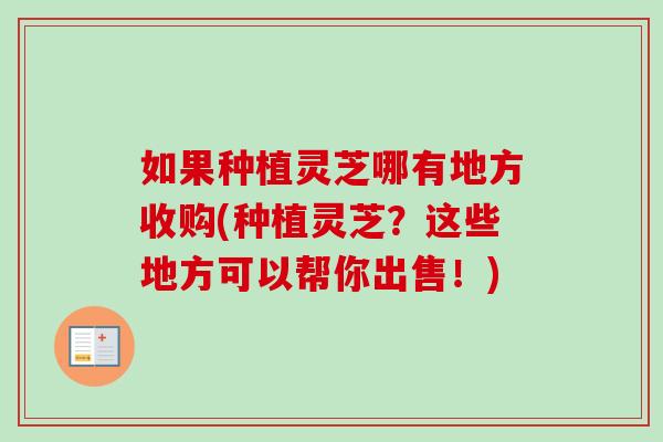 如果种植灵芝哪有地方收购(种植灵芝？这些地方可以帮你出售！)