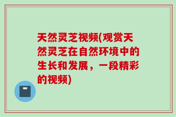 天然灵芝视频(观赏天然灵芝在自然环境中的生长和发展，一段精彩的视频)