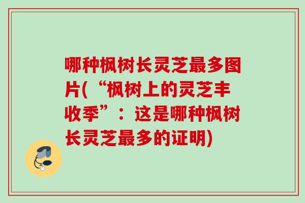 哪种枫树长灵芝多图片(“枫树上的灵芝丰收季”：这是哪种枫树长灵芝多的证明)