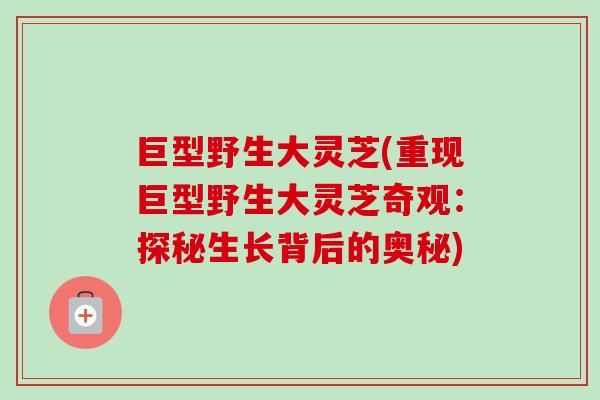 巨型野生大灵芝(重现巨型野生大灵芝奇观：探秘生长背后的奥秘)