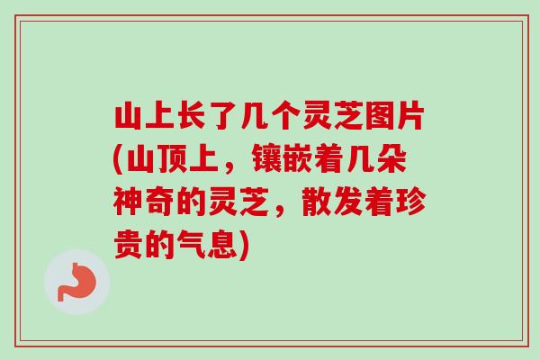 山上长了几个灵芝图片(山顶上，镶嵌着几朵神奇的灵芝，散发着珍贵的气息)