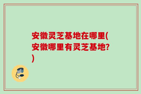 安徽灵芝基地在哪里(安徽哪里有灵芝基地？)