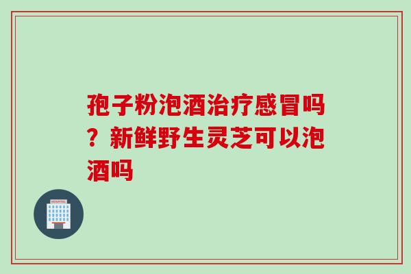孢子粉泡酒吗？新鲜野生灵芝可以泡酒吗