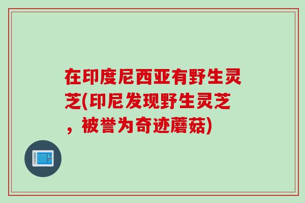在印度尼西亚有野生灵芝(印尼发现野生灵芝，被誉为奇迹蘑菇)