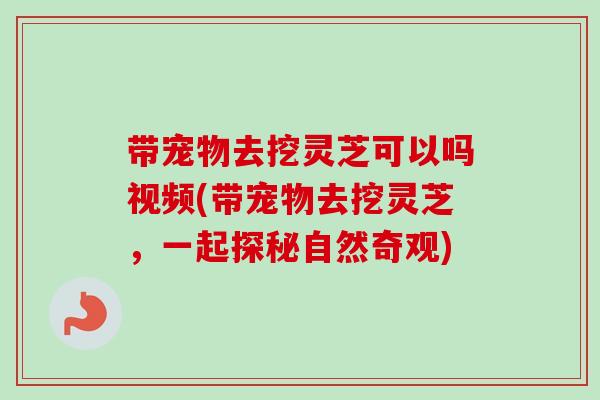 带宠物去挖灵芝可以吗视频(带宠物去挖灵芝，一起探秘自然奇观)