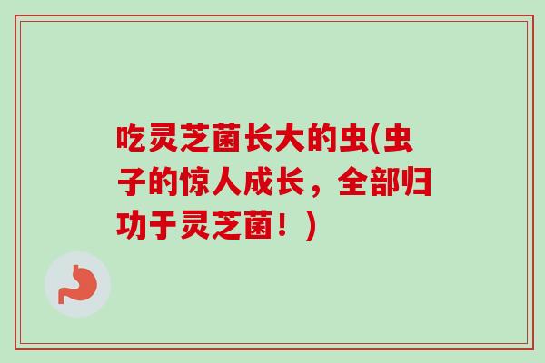 吃灵芝菌长大的虫(虫子的惊人成长，全部归功于灵芝菌！)