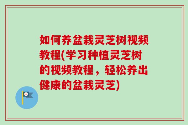 如何养盆栽灵芝树视频教程(学习种植灵芝树的视频教程，轻松养出健康的盆栽灵芝)