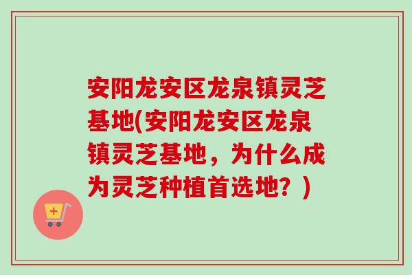 安阳龙安区龙泉镇灵芝基地(安阳龙安区龙泉镇灵芝基地，为什么成为灵芝种植首选地？)