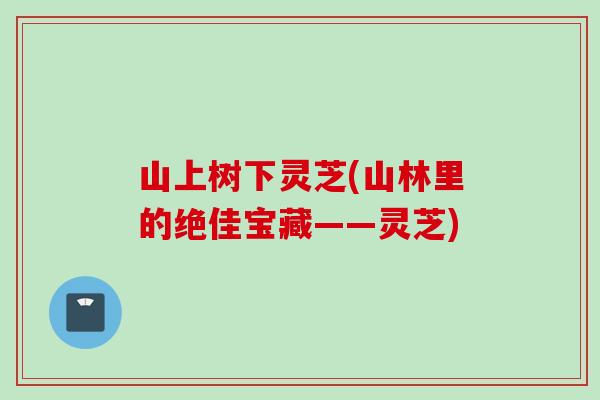 山上树下灵芝(山林里的绝佳宝藏——灵芝)