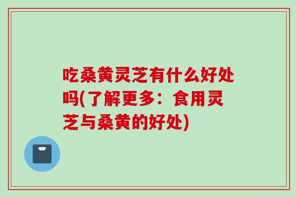 吃桑黄灵芝有什么好处吗(了解更多：食用灵芝与桑黄的好处)