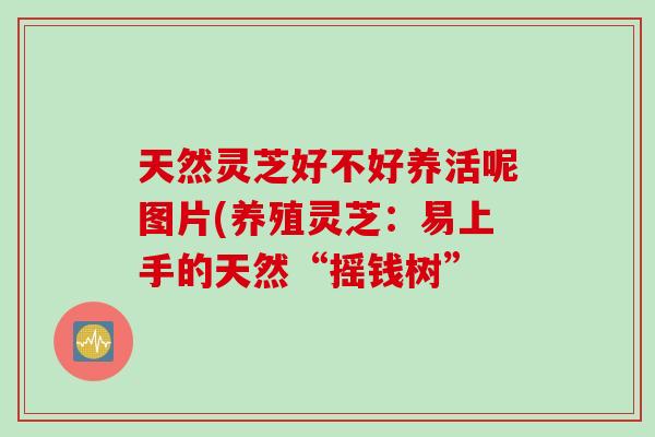 天然灵芝好不好养活呢图片(养殖灵芝：易上手的天然“摇钱树”
