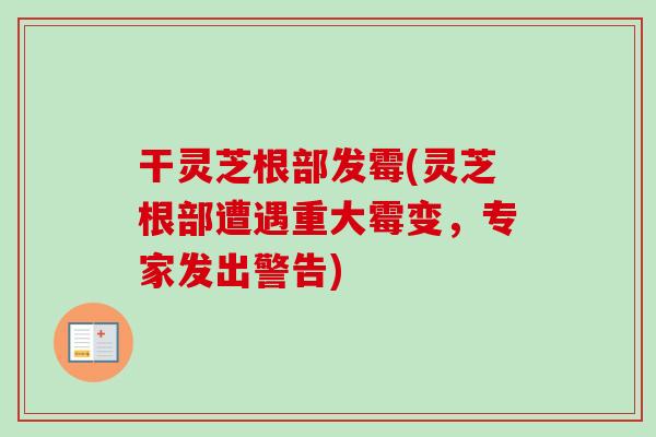 干灵芝根部发霉(灵芝根部遭遇重大霉变，专家发出警告)