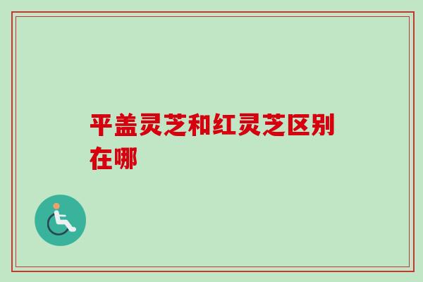 平盖灵芝和红灵芝区别在哪