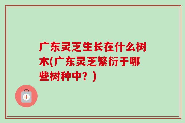 广东灵芝生长在什么树木(广东灵芝繁衍于哪些树种中？)