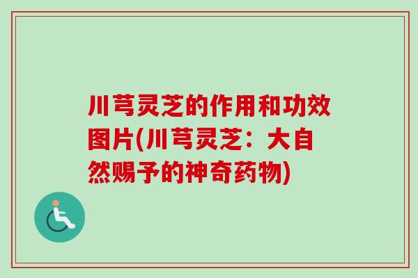 川芎灵芝的作用和功效图片(川芎灵芝：大自然赐予的神奇)