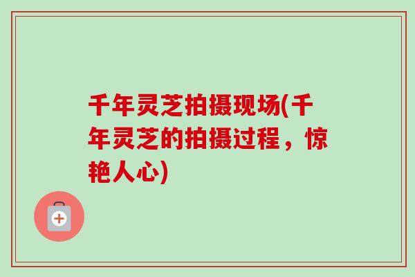 千年灵芝拍摄现场(千年灵芝的拍摄过程，惊艳人心)