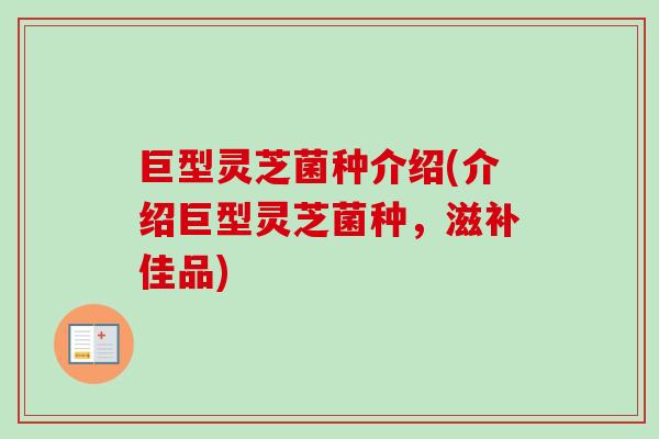 巨型灵芝菌种介绍(介绍巨型灵芝菌种，滋补佳品)