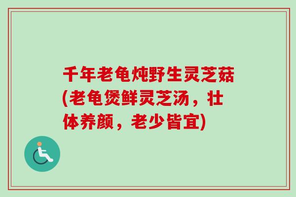 千年老龟炖野生灵芝菇(老龟煲鲜灵芝汤，壮体养颜，老少皆宜)