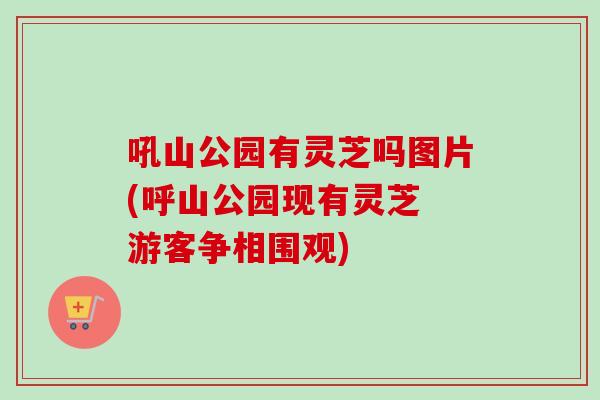 吼山公园有灵芝吗图片(呼山公园现有灵芝 游客争相围观)
