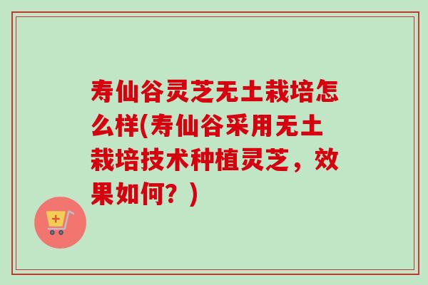 寿仙谷灵芝无土栽培怎么样(寿仙谷采用无土栽培技术种植灵芝，效果如何？)