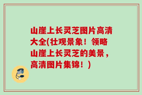 山崖上长灵芝图片高清大全(壮观景象！领略山崖上长灵芝的美景，高清图片集锦！)
