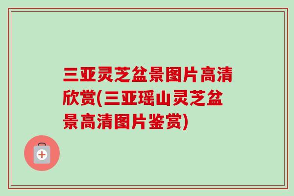 三亚灵芝盆景图片高清欣赏(三亚瑶山灵芝盆景高清图片鉴赏)