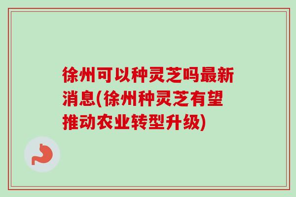 徐州可以种灵芝吗最新消息(徐州种灵芝有望推动农业转型升级)