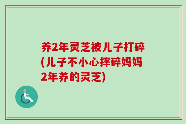 养2年灵芝被儿子打碎(儿子不小心摔碎妈妈2年养的灵芝)