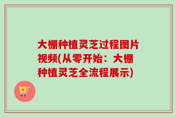 大棚种植灵芝过程图片视频(从零开始：大棚种植灵芝全流程展示)