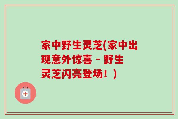 家中野生灵芝(家中出现意外惊喜 - 野生灵芝闪亮登场！)