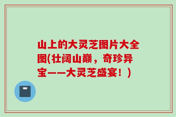 山上的大灵芝图片大全图(壮阔山巅，奇珍异宝——大灵芝盛宴！)