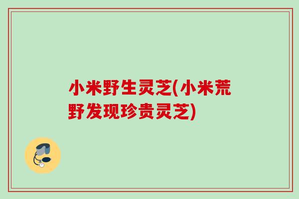 小米野生灵芝(小米荒野发现珍贵灵芝)