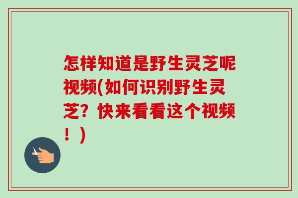 怎样知道是野生灵芝呢视频(如何识别野生灵芝？快来看看这个视频！)