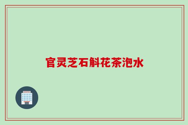 官灵芝石斛花茶泡水