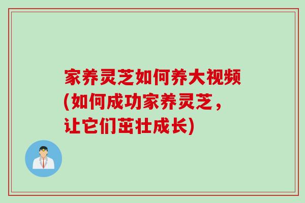 家养灵芝如何养大视频(如何成功家养灵芝，让它们茁壮成长)