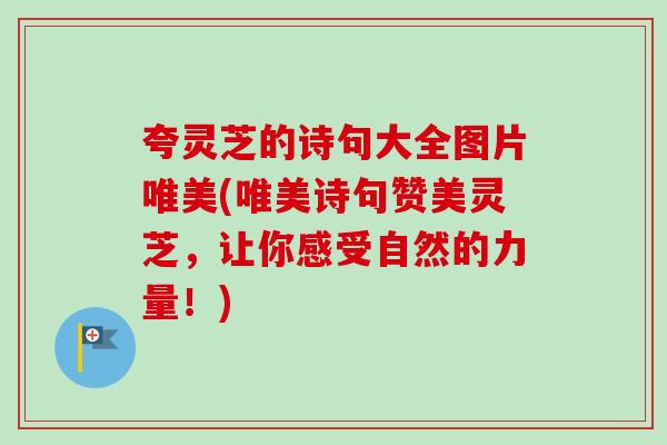 夸灵芝的诗句大全图片唯美(唯美诗句赞美灵芝，让你感受自然的力量！)