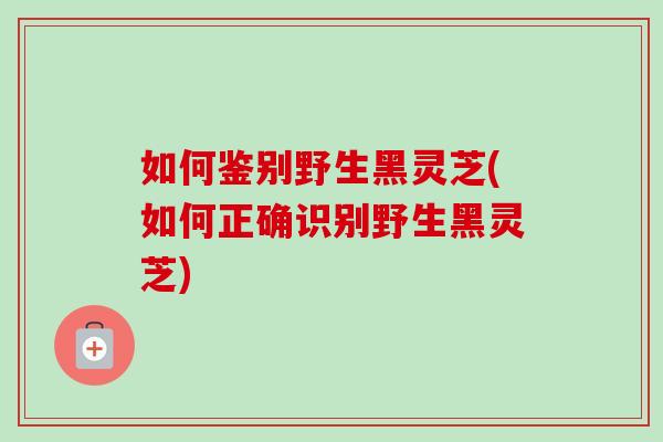 如何鉴别野生黑灵芝(如何正确识别野生黑灵芝)