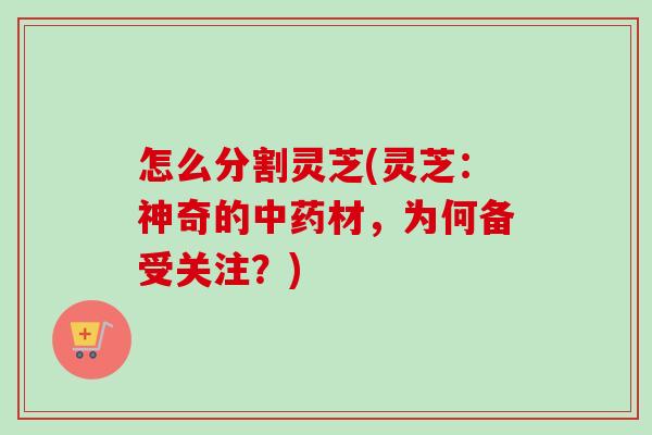 怎么分割灵芝(灵芝：神奇的中药材，为何备受关注？)