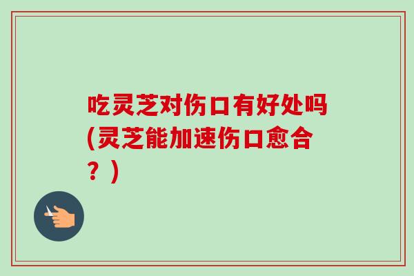 吃灵芝对伤口有好处吗(灵芝能加速伤口愈合？)