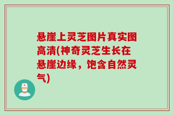 悬崖上灵芝图片真实图高清(神奇灵芝生长在悬崖边缘，饱含自然灵气)