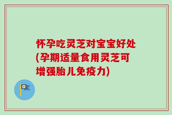 怀孕吃灵芝对宝宝好处(孕期适量食用灵芝可增强胎儿免疫力)