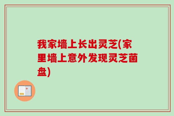 我家墙上长出灵芝(家里墙上意外发现灵芝菌盘)