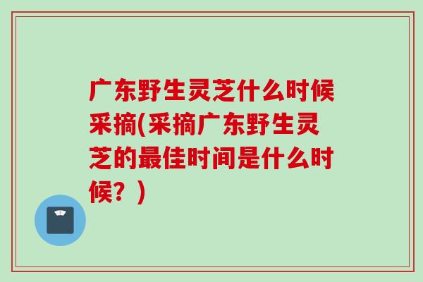 广东野生灵芝什么时候采摘(采摘广东野生灵芝的最佳时间是什么时候？)