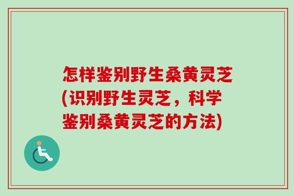 怎样鉴别野生桑黄灵芝(识别野生灵芝，科学鉴别桑黄灵芝的方法)