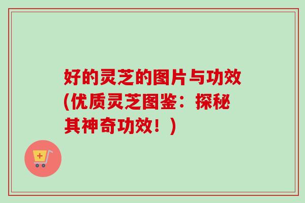 好的灵芝的图片与功效(优质灵芝图鉴：探秘其神奇功效！)
