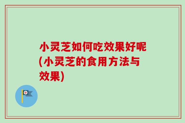 小灵芝如何吃效果好呢(小灵芝的食用方法与效果)