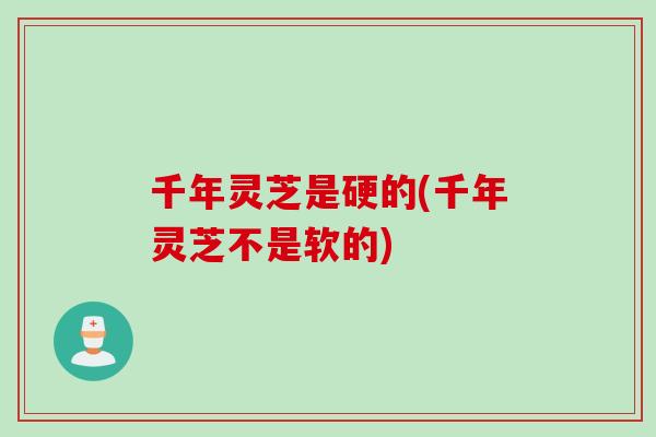 千年灵芝是硬的(千年灵芝不是软的)