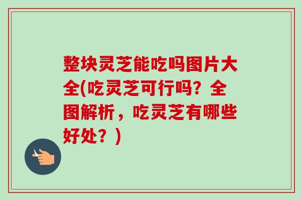 整块灵芝能吃吗图片大全(吃灵芝可行吗？全图解析，吃灵芝有哪些好处？)